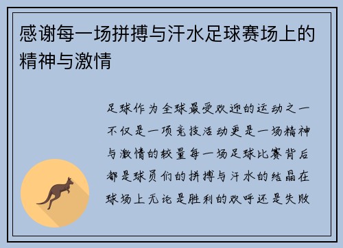 感谢每一场拼搏与汗水足球赛场上的精神与激情