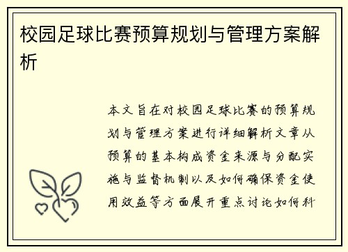 校园足球比赛预算规划与管理方案解析
