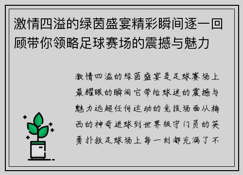 激情四溢的绿茵盛宴精彩瞬间逐一回顾带你领略足球赛场的震撼与魅力