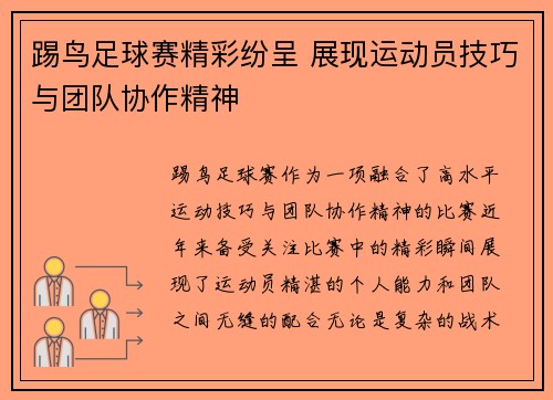 踢鸟足球赛精彩纷呈 展现运动员技巧与团队协作精神