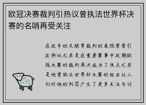 欧冠决赛裁判引热议曾执法世界杯决赛的名哨再受关注
