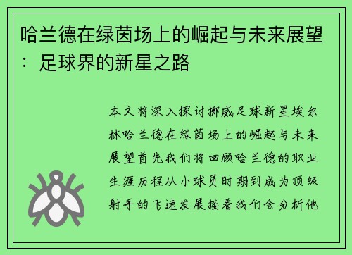 哈兰德在绿茵场上的崛起与未来展望：足球界的新星之路